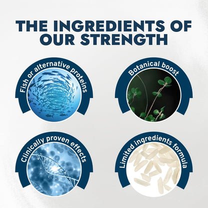 - Cat Food, Vet-Formulated Renal Wet Cat Food, Non GMO, Kidney Care Food with Lamb Flavor, Crafted for Adults, Made in Italy (3.5 Oz, 32 Pack)